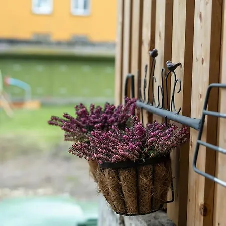 Garden Next To Telliskivi & Old Town Apartman *